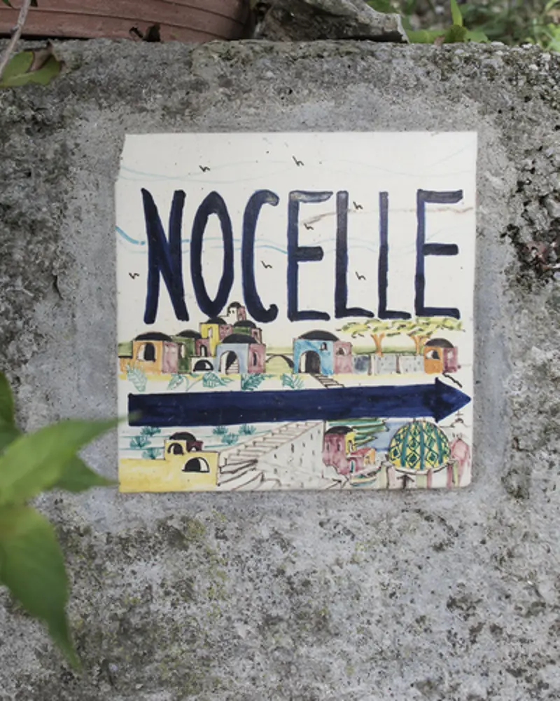 Nocele 01
