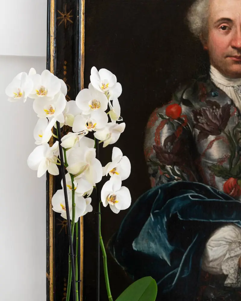 Orchidswhite2lightcopy