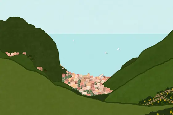 LIBRO LIMONE VEDUTA AMALFI 1
