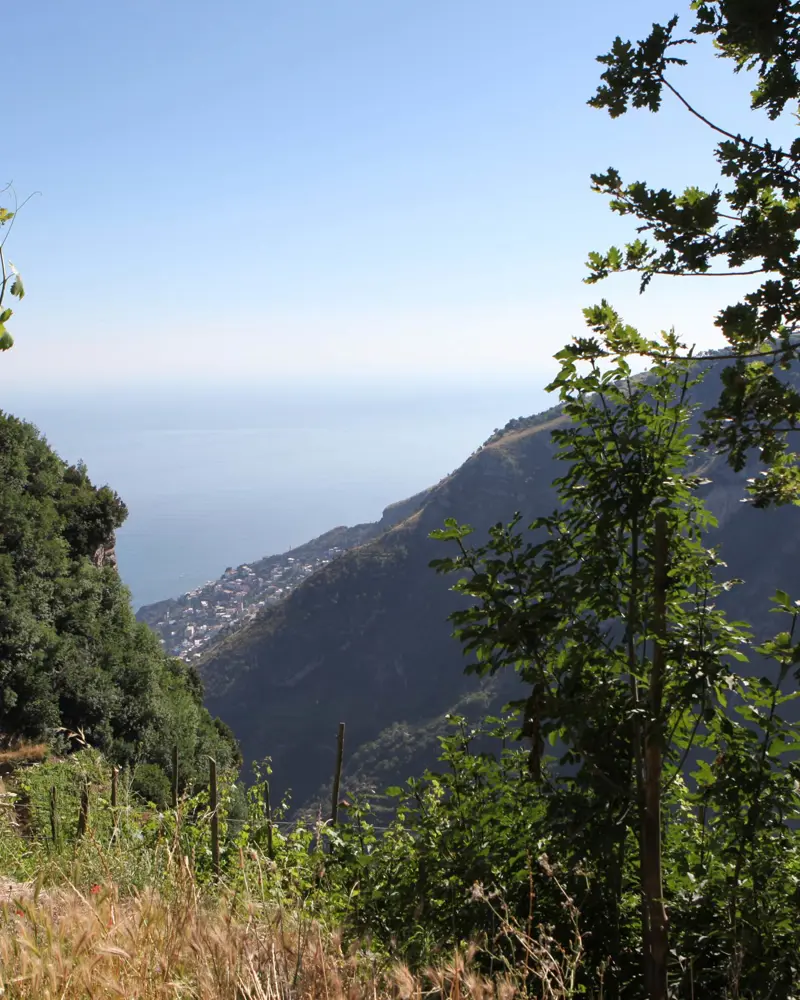 Sirenuse Journal Positanoimg 4834