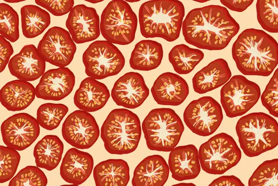 Driedtomatoesinsidecover