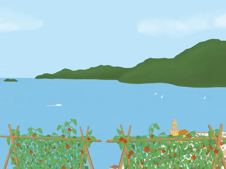 Tomatotrellisseascape